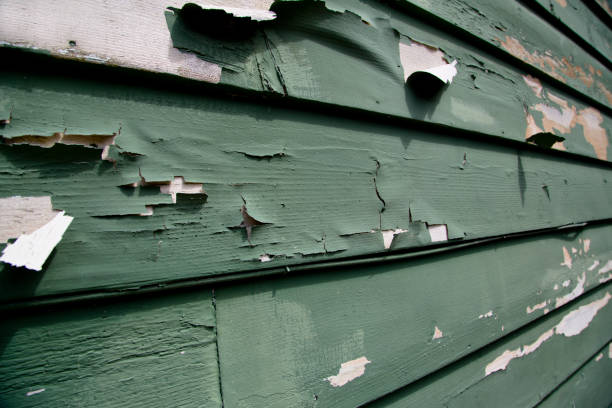 Best Same-Day Junk Removal Services  in Cabool, MO